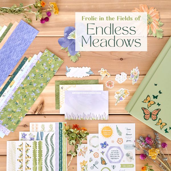 March 2022 Product Launch