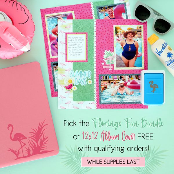Are You Ready for Some FUN?  Flamingo Fun?
