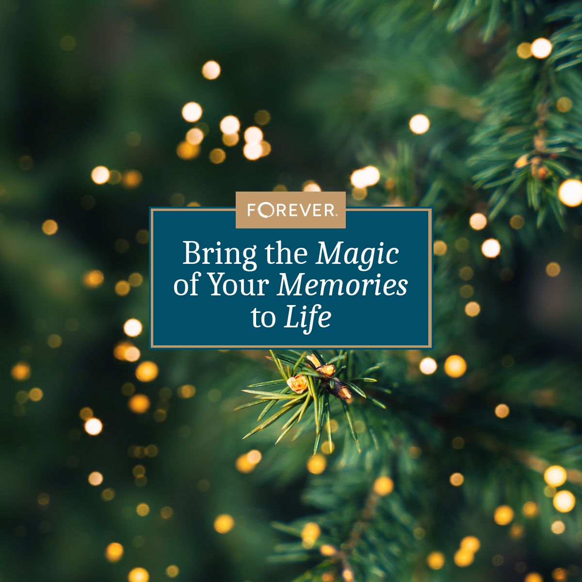 Save It. Celebrate It. Share It. FOREVER.