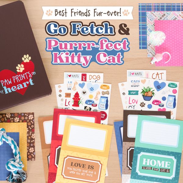Image of: July 2024 - Pet Collections, Storage Options, Paper Packs & More